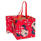 Cutie dar, trusou, cununie / botez, Minnie Mouse