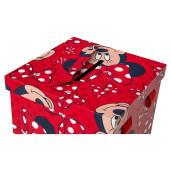 Cutie dar, trusou, cununie / botez, Minnie Mouse